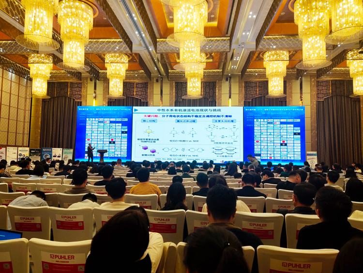 第五届中国(长沙)锂电正负极材料技术创新与产业化研讨会