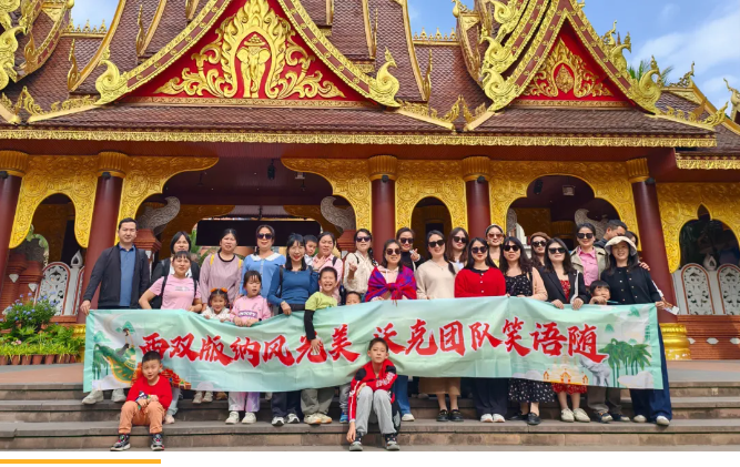西双版纳风光美 沃克团队笑语随 | 2025沃克能源西双版纳旅游活动